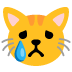 :crying_cat: