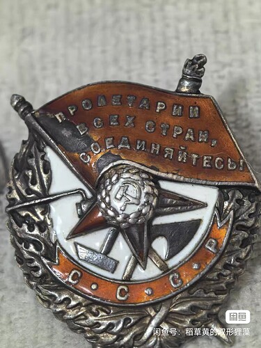 1000017772